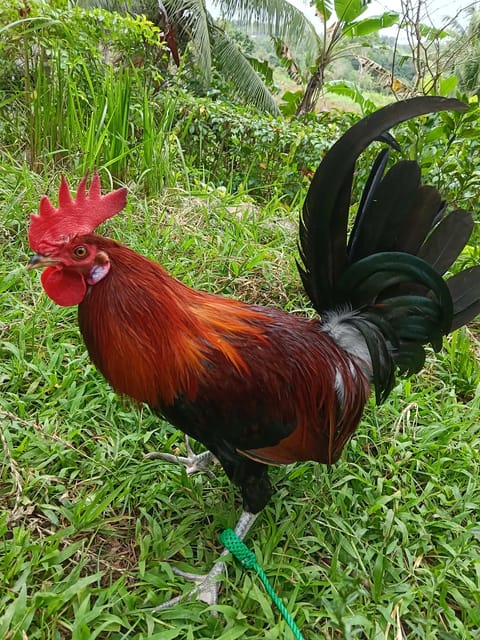 Photo from Triple A Gameyard's post
