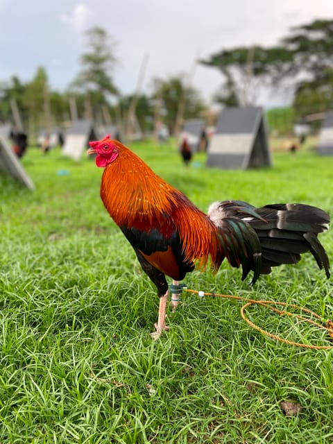 Photo from Daile Marcos's post