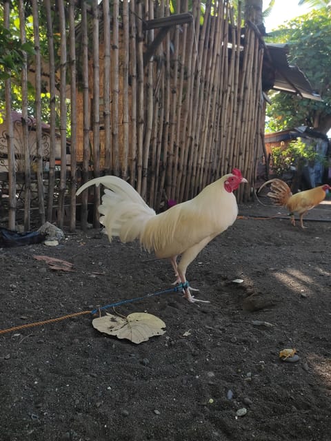 Photo 3 of 3 from Tanshong BackYards's post