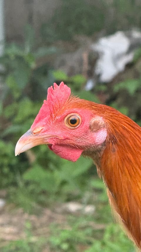 Photo 4 of 8 from Lysander Tambasacan's post