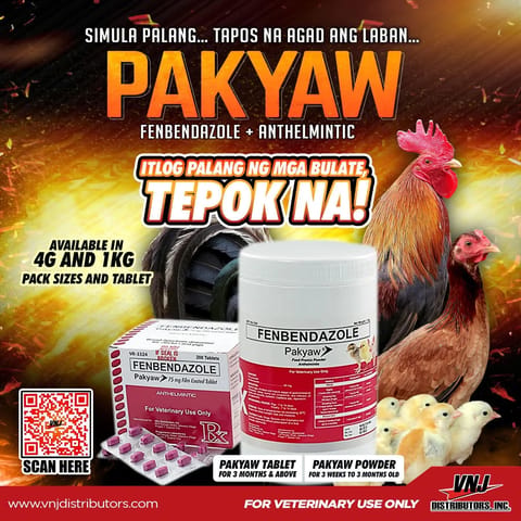 Photo from Allen Kharl Lisbo's post