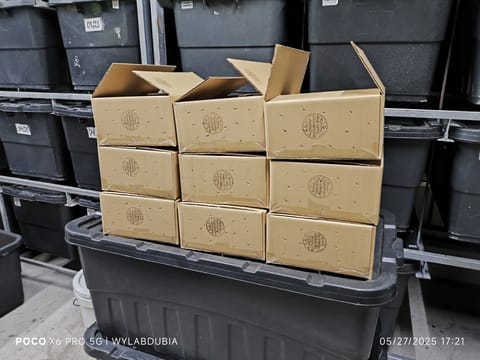 Photo from Wy Lab Dubia's post