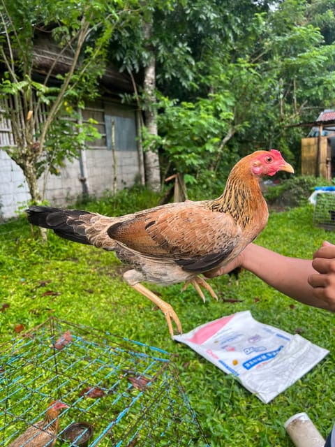 Photo from 🐓RJLaiD PointBreak GF🐓's post