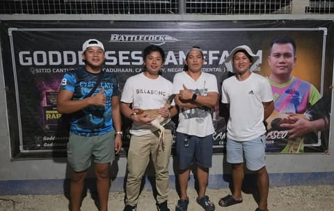 Photo from RDF SUPER CROSSES GAME FOWL's post