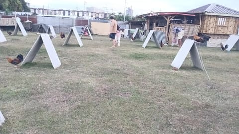 Photo 2 of 2 from PaS RAMOS III's post