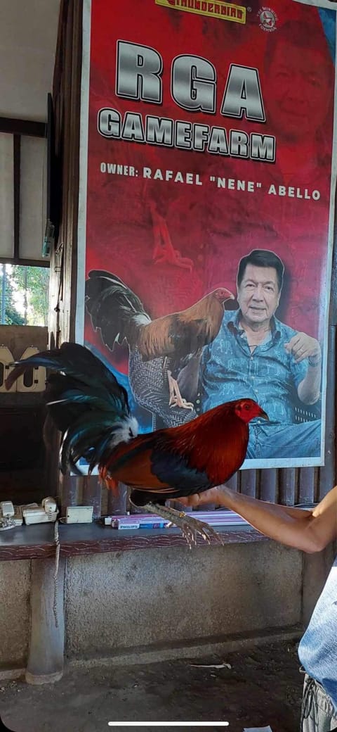 Photo 1 of 3 from alan solis's post