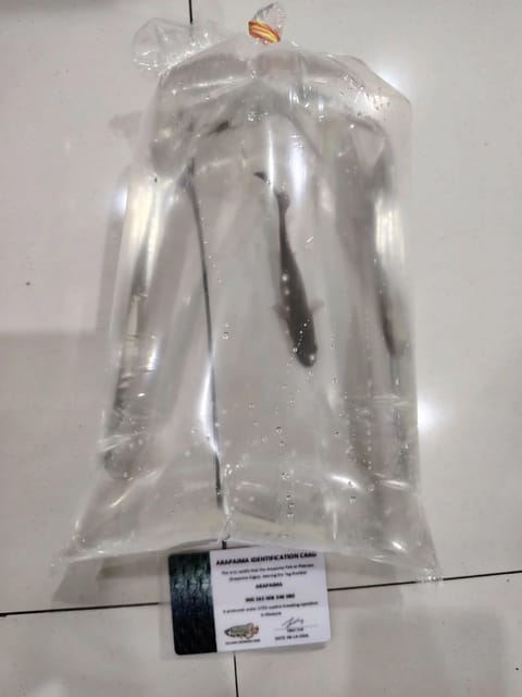 Photo from Asylum Aquatic's post