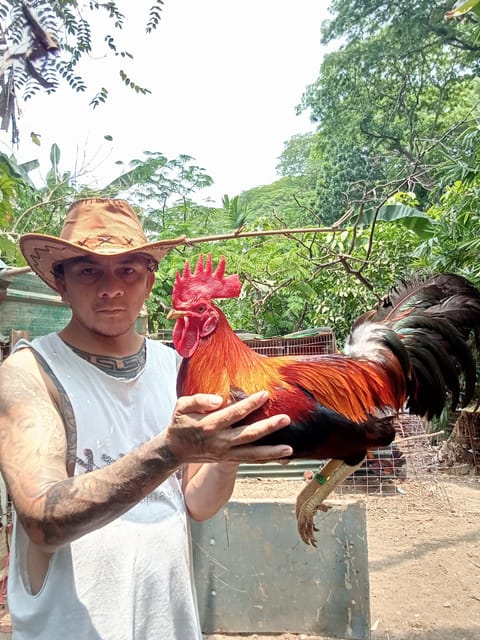 Photo from CGWgamefowl's post