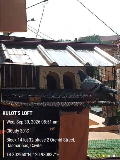 Photo 2 of 7 from LOT$EXOTIC'$'s post
