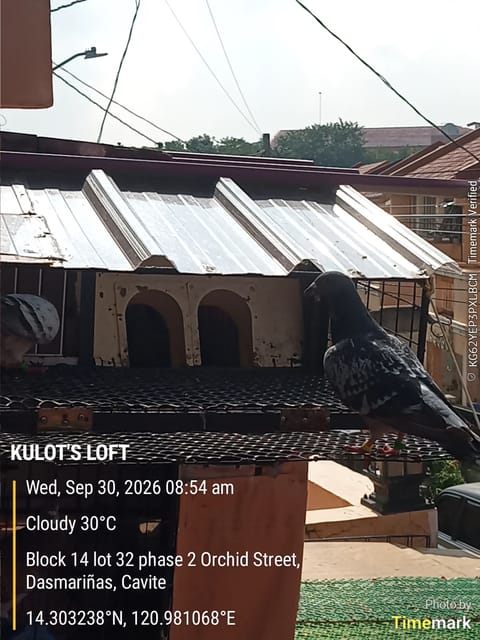 Photo 4 of 7 from LOT$EXOTIC'$'s post
