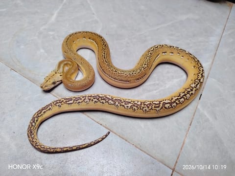 Photo 2 of 3 from Danongtv's post