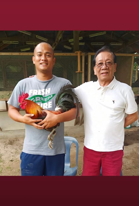 Photo 1 of 2 from Mark Turla Gamefowl's post