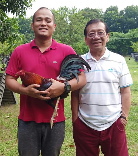Photo 2 of 2 from Mark Turla Gamefowl's post