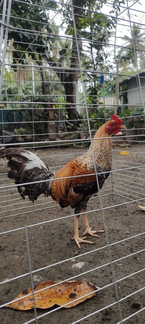 Photo from Samuel Fredrick A. Tomarong's post