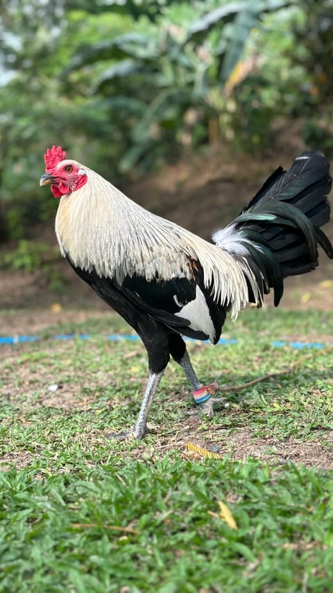 Photo from Ivan Calo's post