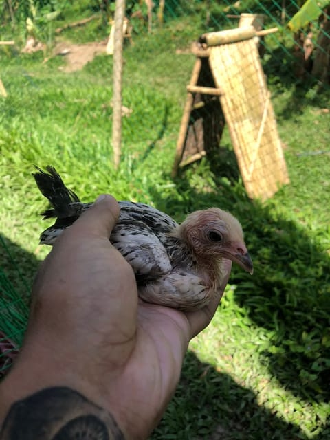 Photo 2 of 2 from Sonje Meking's post