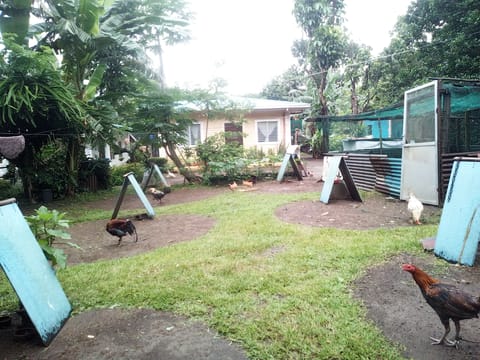Photo from Joshua M. Racraquin's post