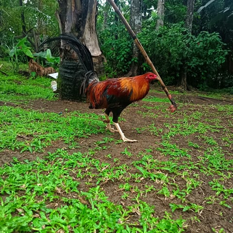 Photo from E.A. Surtido gf's post