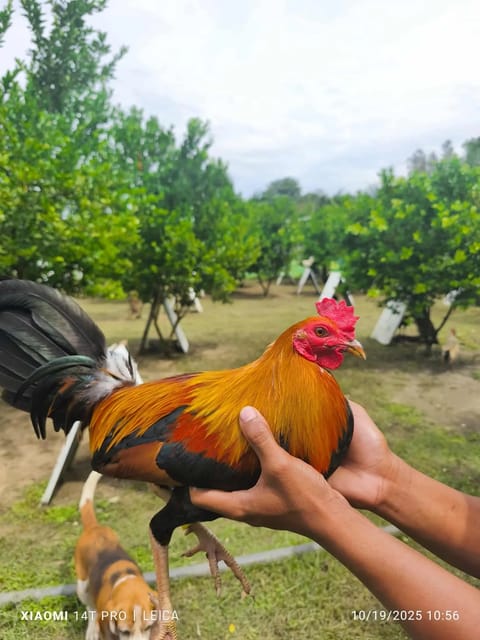 Photo from AML Gamefarm's post