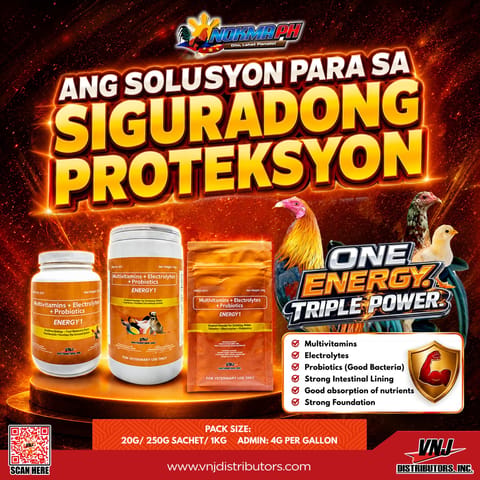 Photo from Joel N. Yjares's post